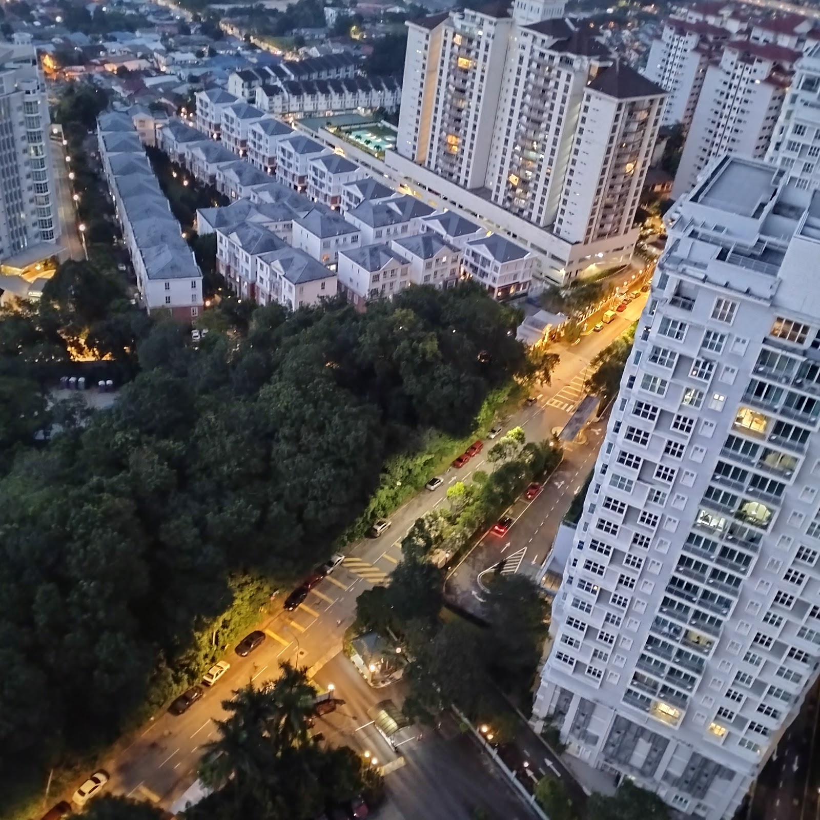 Duta Ria: A high-angle nighttime view looking down from a high-rise building over a dense green forest, a road with moving traffic, and a residential neighborhood in the distance.