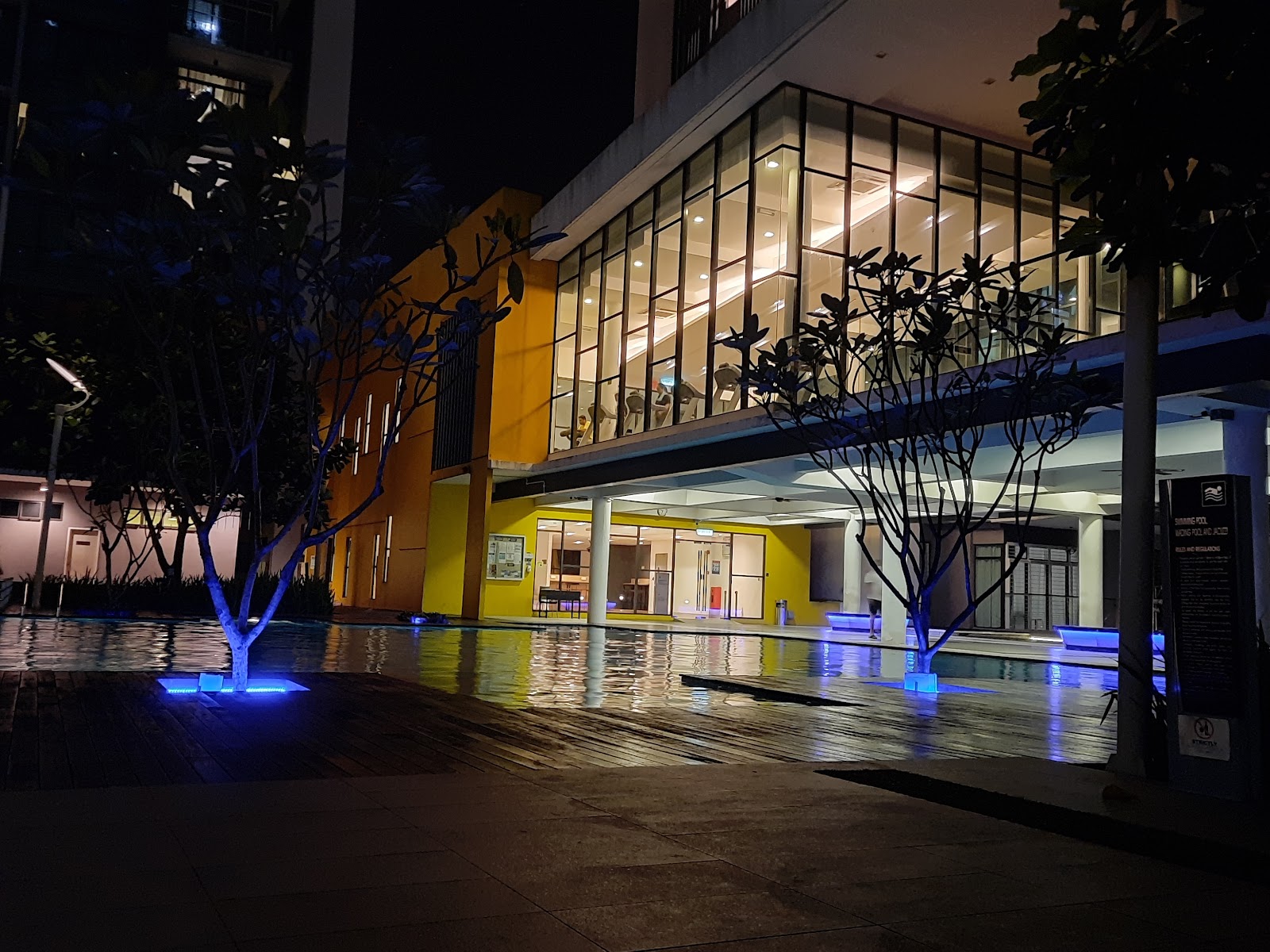 The Z Residence: Night shot of a hotel-style swimming pool with trees growing out of the water, illuminated by blue lights, with a yellow building facade in the background.