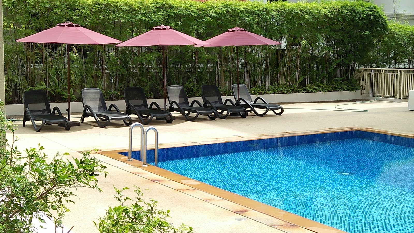 Madge Residences: An outdoor swimming pool with blue mosaic tiles, a row of sun loungers under umbrellas, and a backdrop of green bamboo and a paved deck.