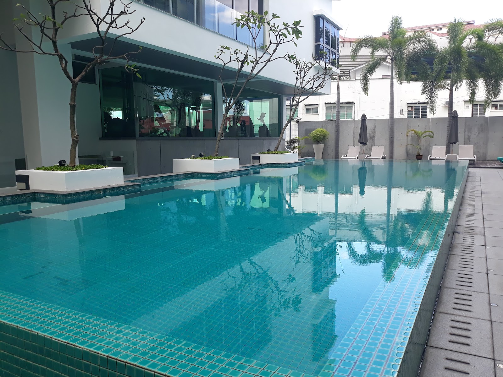 Amarin Wickham: A long swimming pool with blue tiles and a smooth water surface, surrounded by paved decking, planter boxes with trees, and lounge chairs.