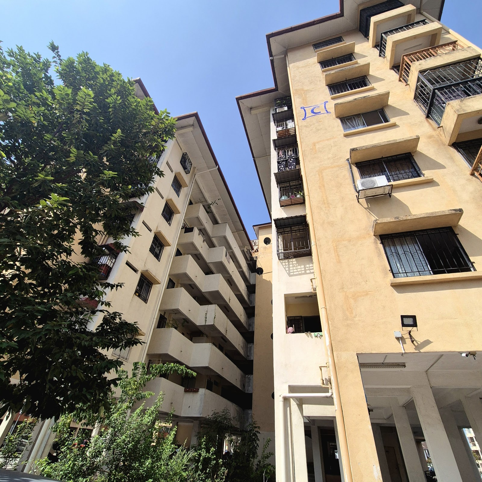 Pangsapuri Carlina: A low-angle view of the yellow facades and balconies of two residential apartment towers, seen from between the buildings with a large tree in the foreground.