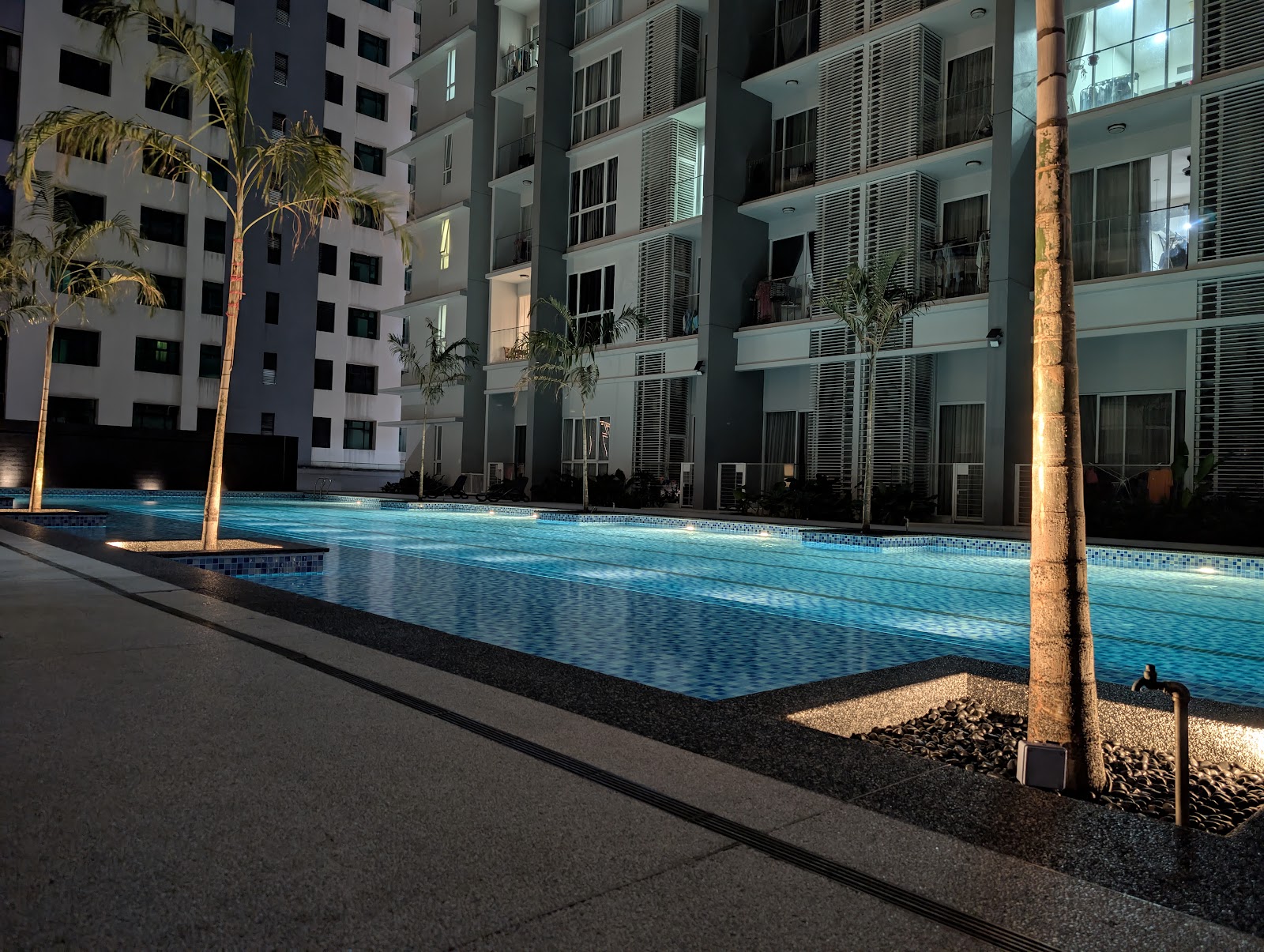 M-Suites @ Embassy Row: An illuminated swimming pool at night, lined with palm trees and situated in front of a high-rise residential building.