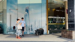[4K60FPS] KL’s Tallest Luxury Living – IBN Bukit Bintang (Malaysia)