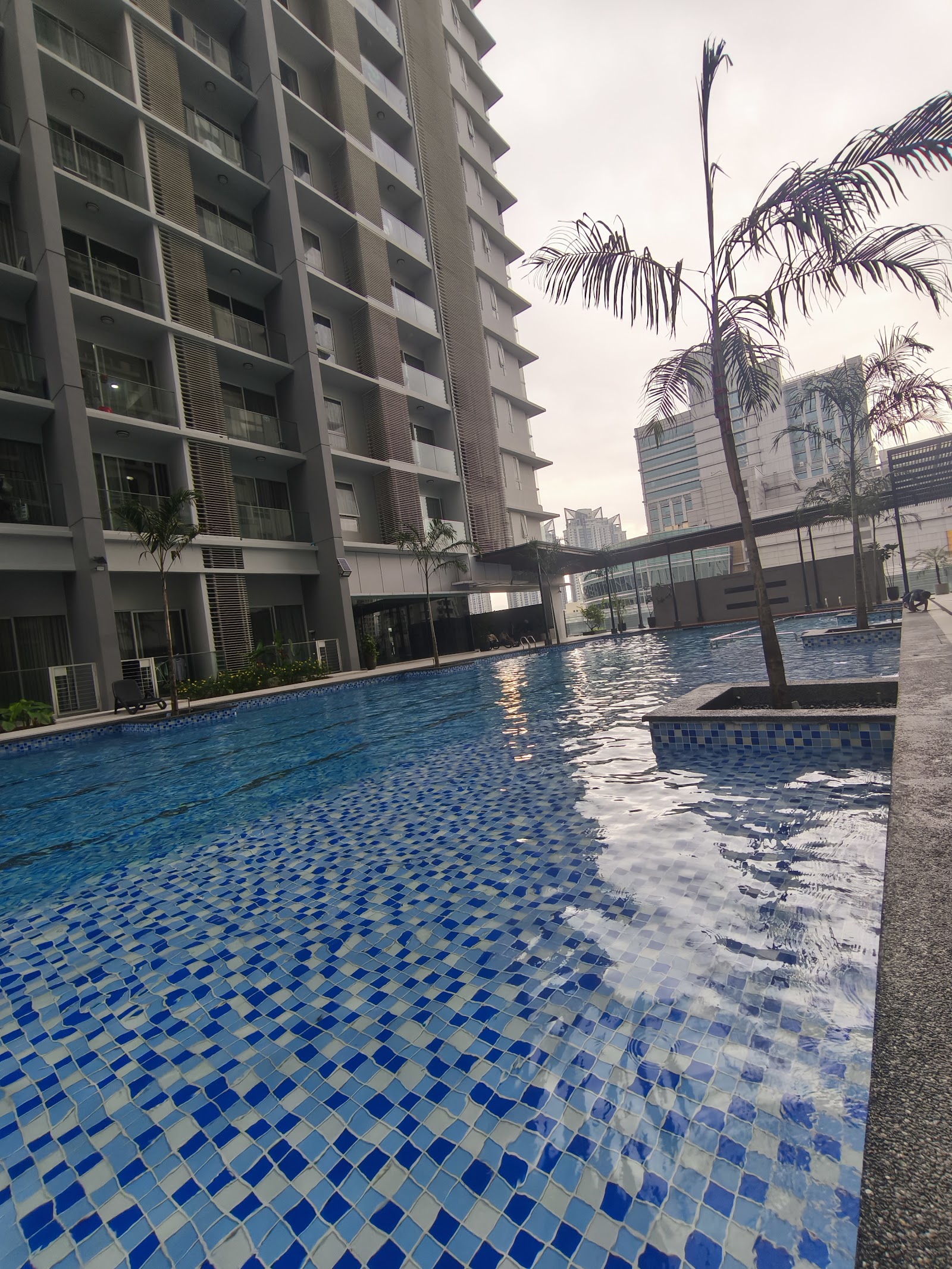 M-Suites @ Embassy Row: A long, blue-tiled swimming pool on the terrace of a residential building, with palm trees and a view of nearby skyscrapers under an overcast sky.
