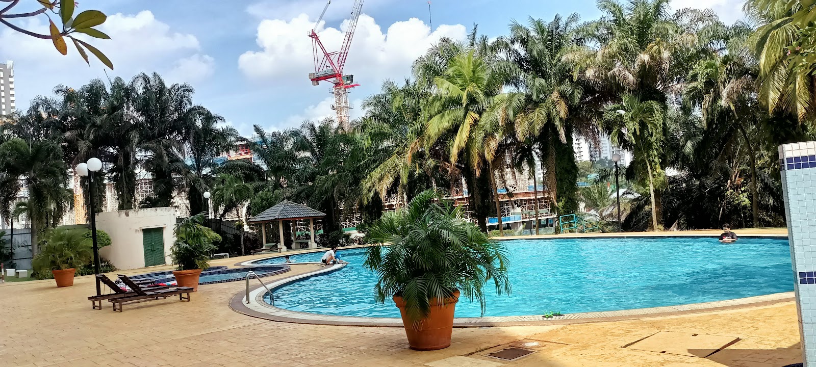 Duta Ria: An outdoor swimming pool area with sun loungers and tropical plants, surrounded by a dense grove of palm trees.