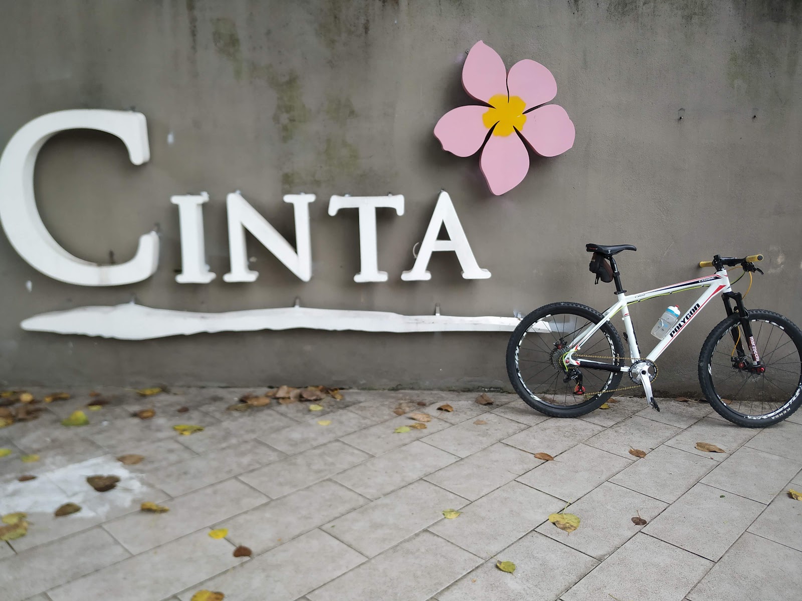Cinta: A bicycle is parked on a paved walkway in front of a gray wall with a large 'CINTA' sign and a pink flower decoration.