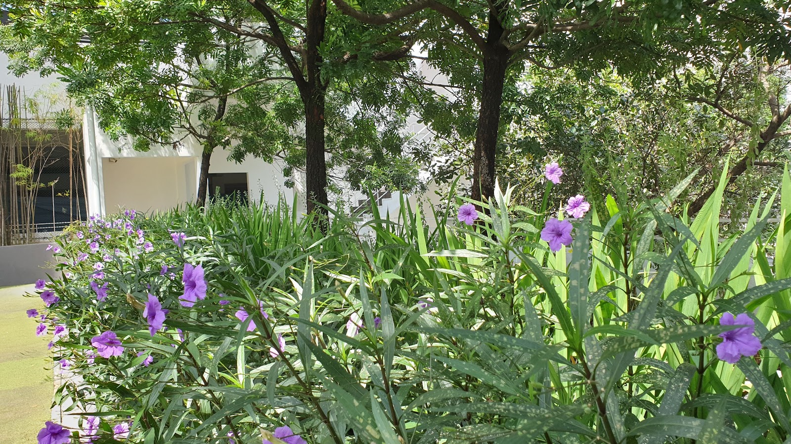 Mutiara Upper East: A landscaped garden area featuring tall green plants and purple flowers, set against a backdrop of trees and a white building facade.