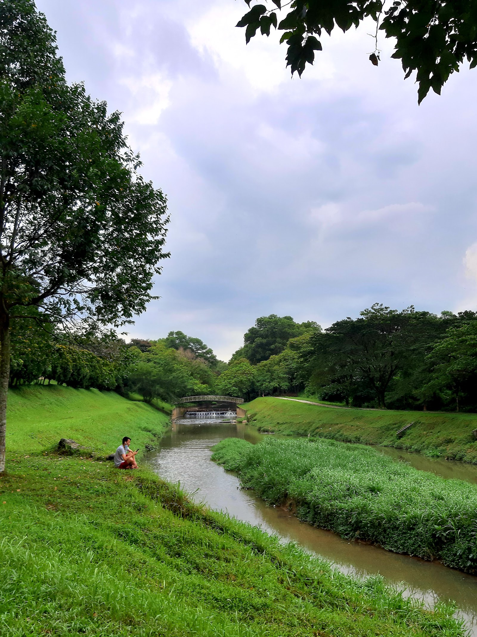 Cova Villa: A tranquil park landscape featuring a stream, a small bridge, and lush greenery under a cloudy sky.
