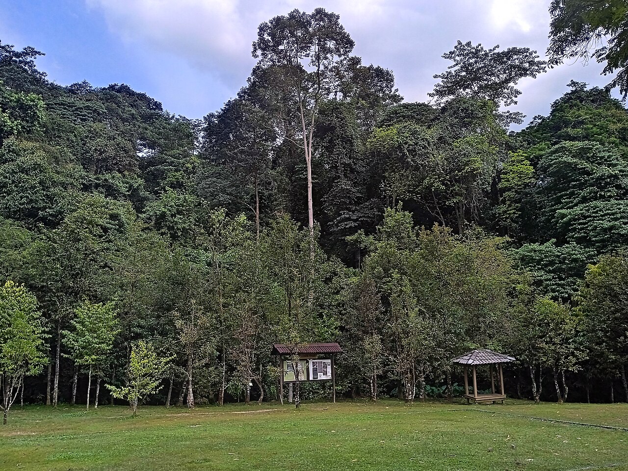 Kota Damansara Community Forest Park, Kota Damansara
